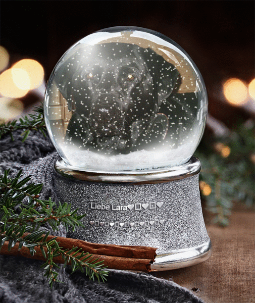 Condolence image of Liebe Larchen❤️