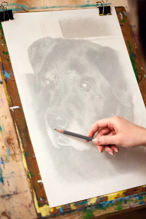 Condolence image of Guten Morgen Liebe Nelchen❤️