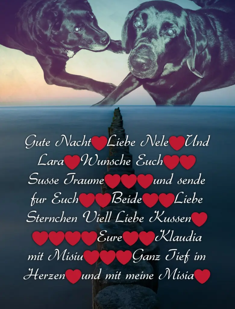Condolence image of Gute Nacht❤️❤️