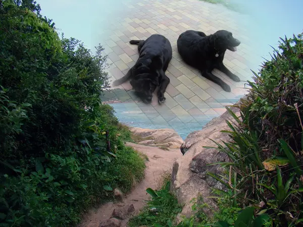 Condolence image of Guten Morgen❤️❤️