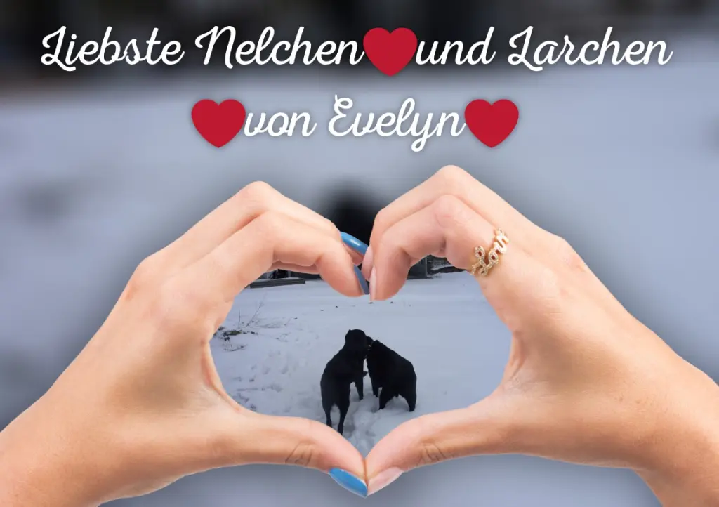 Condolence image of ❤️❤️❤️