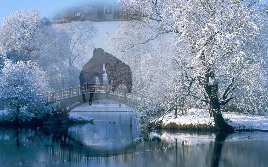 Condolence image of Gute Nacht❤️❤️