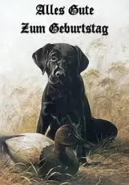 Condolence image of Brigitte mit Nelly, Benny und Axel im Herzen