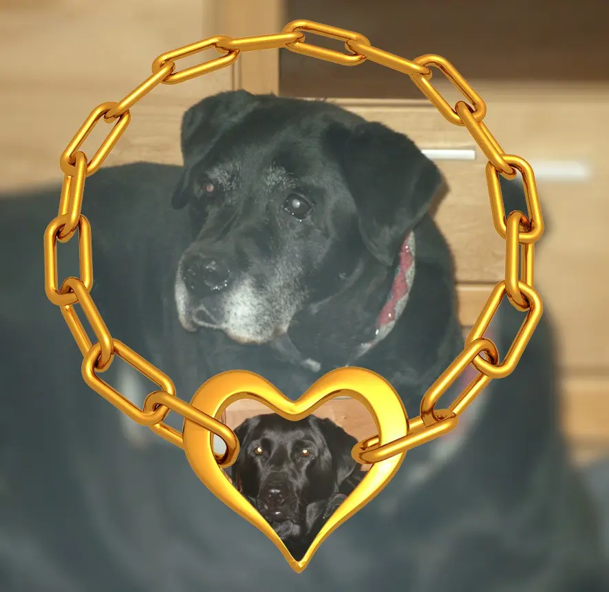 Condolence image of Guten Abend❤️❤️