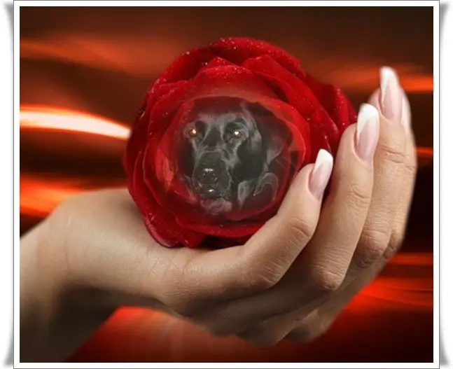 Condolence image of ❤️❤️❤️