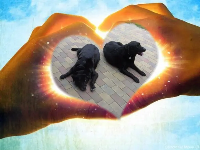 Condolence image of Guten Morgen❤️❤️