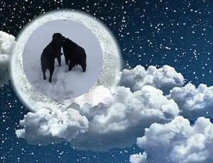 Condolence image of Liebe Nele❤️und Lara❤️