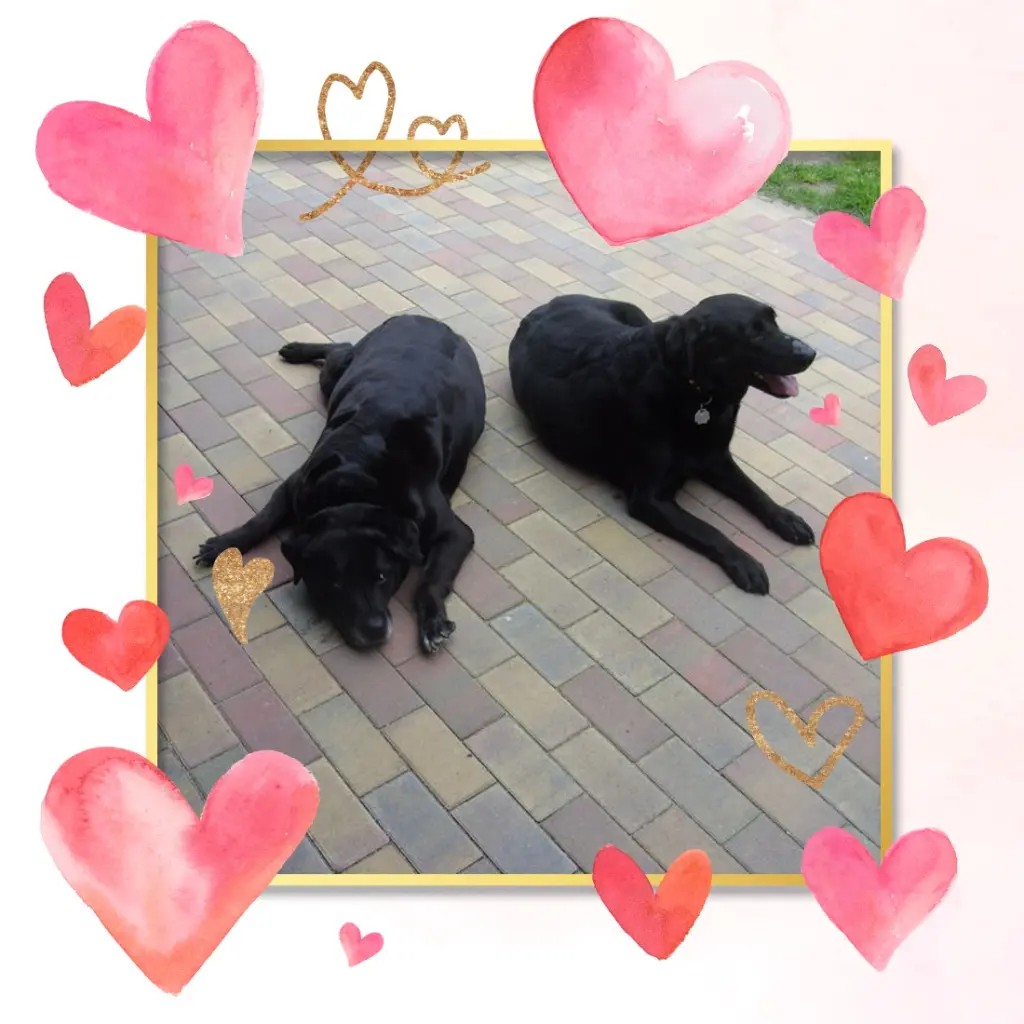 Condolence image of Liebe Nele❤️und Liebe Lara❤️