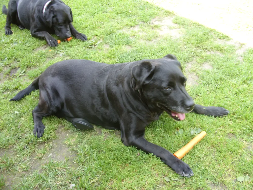 Condolence image of Unbekannt