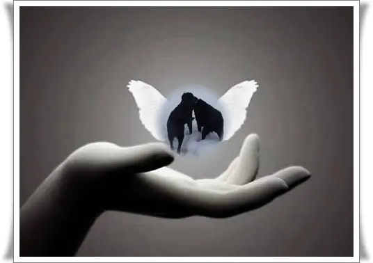 Condolence image of Gute Nacht❤️❤️