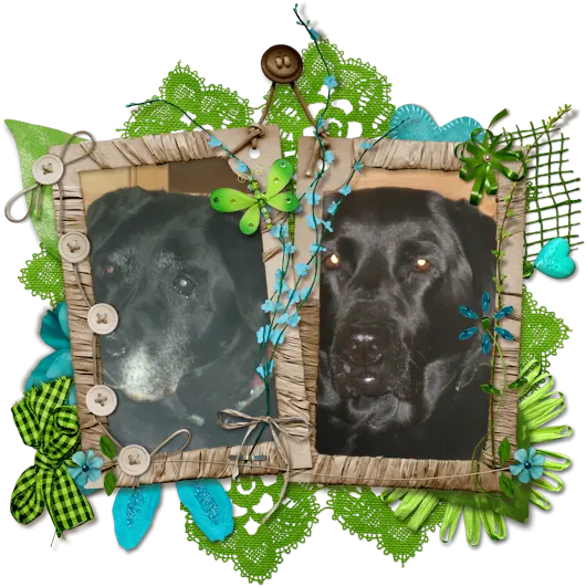 Condolence image of Liebe Evelyn❤️