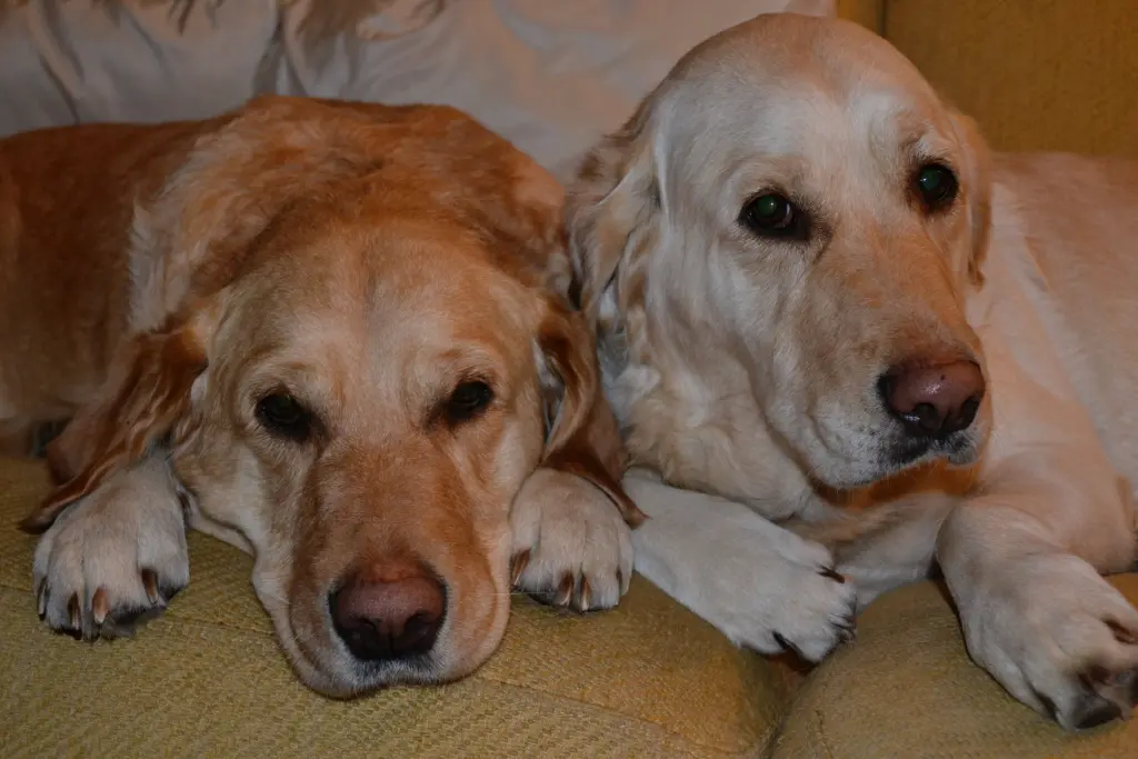 Condolence image of Brigitta