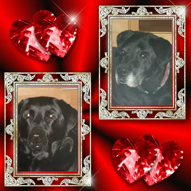 Condolence image of Liebe Nelchen❤️Liebe Larchen❤️