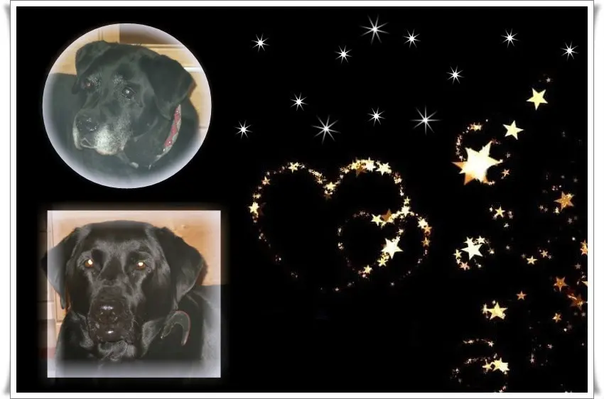 Condolence image of Gute Nacht❤️❤️