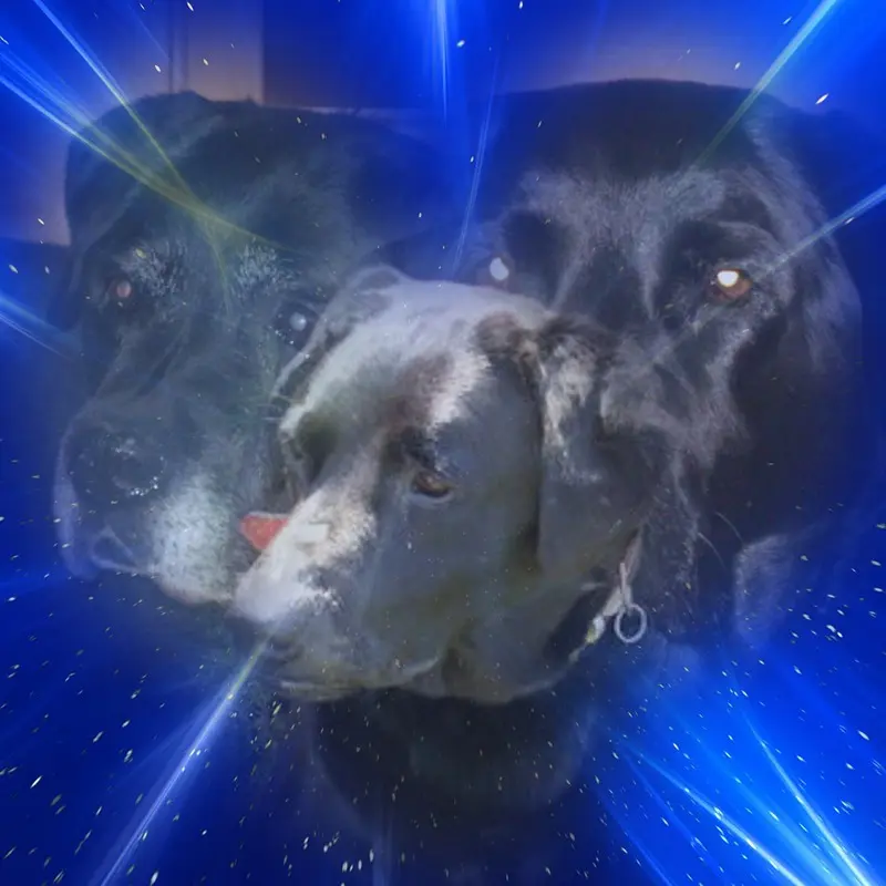 Condolence image of Gute Nacht❤️❤️