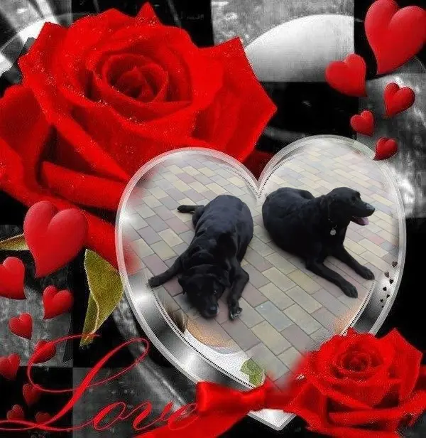 Condolence image of ❤️❤️❤️❤️❤️❤️❤️❤️