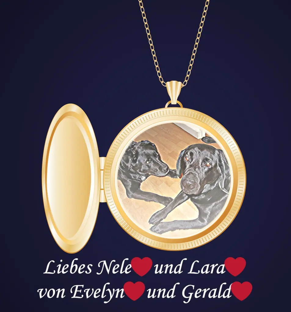 Condolence image of Gute Nacht❤️❤️