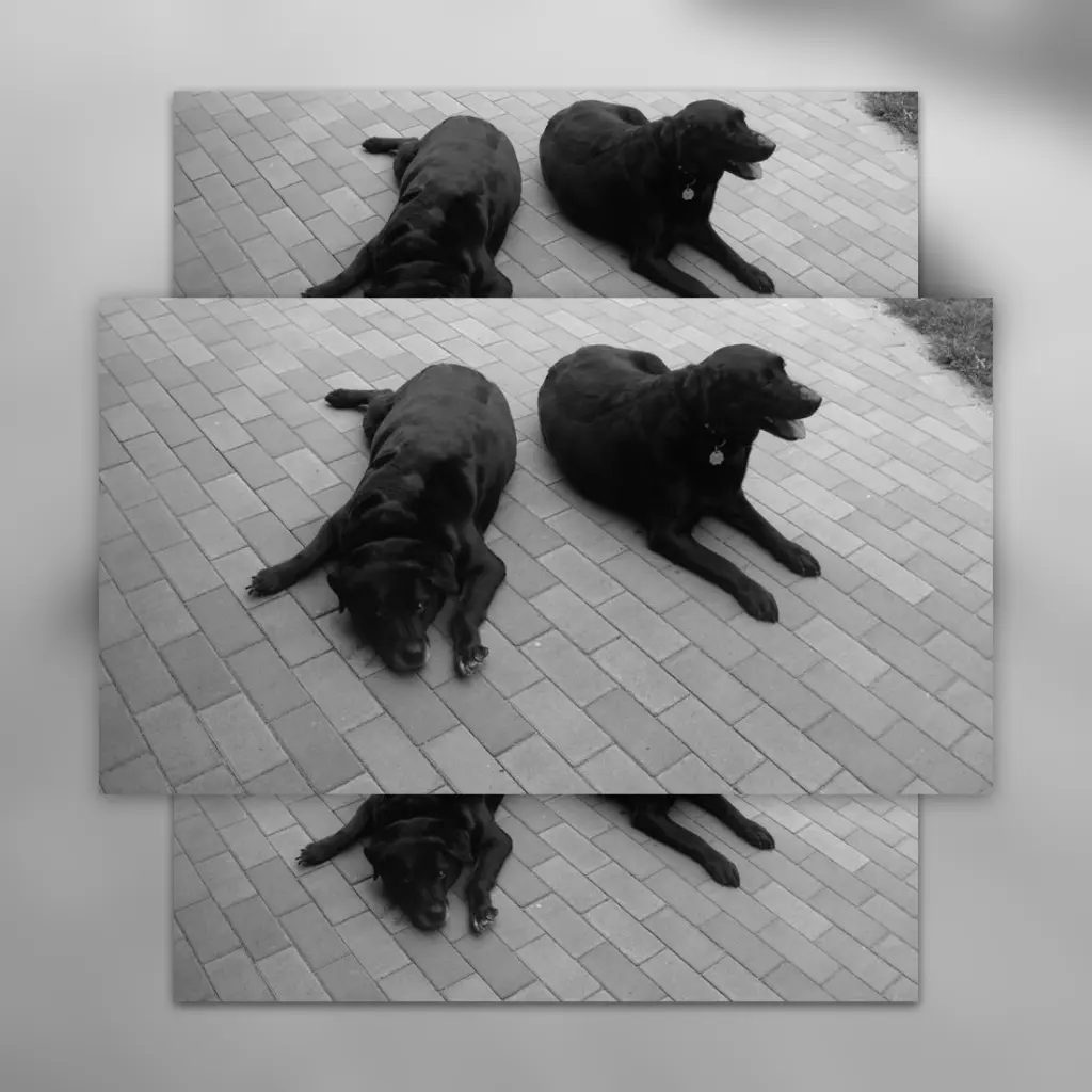 Condolence image of Gute Nacht❤️❤️