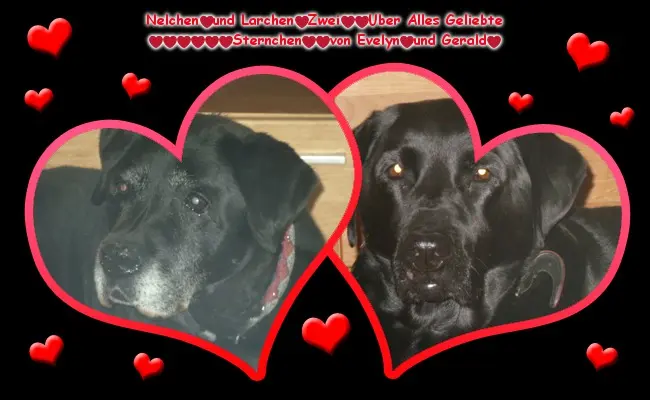 Condolence image of ❤️❤️❤️