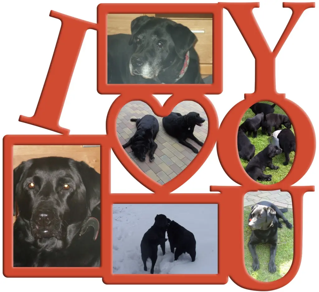 Condolence image of Gute Nacht❤️❤️