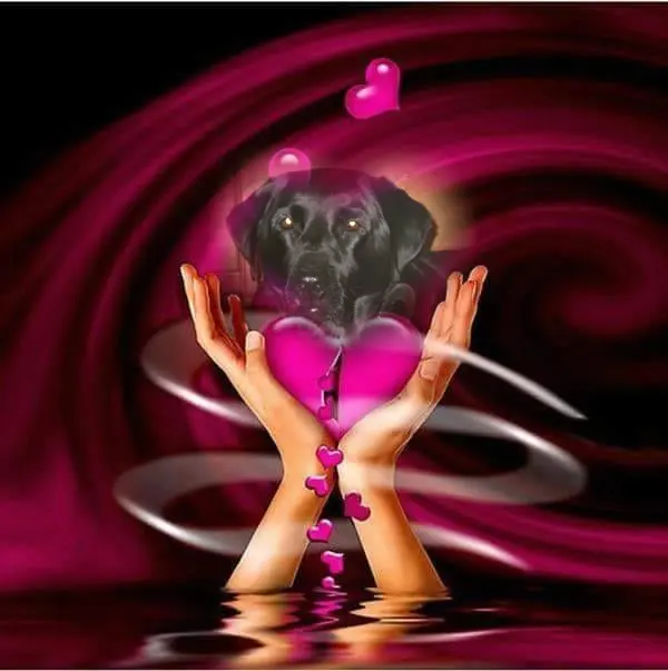 Condolence image of ❤️❤️❤️