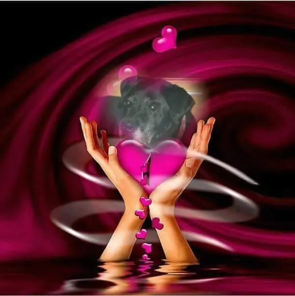 Condolence image of ❤️❤️❤️