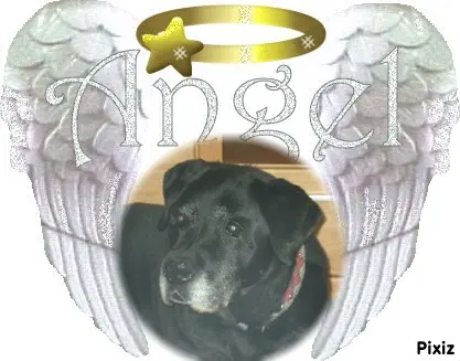 Condolence image of ❤️❤️❤️