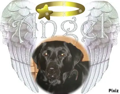 Condolence image of ❤️❤️❤️