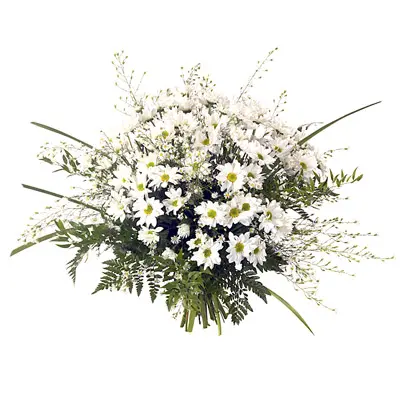 Condolence image of Klaudia mit Misiu❤️❤️❤️