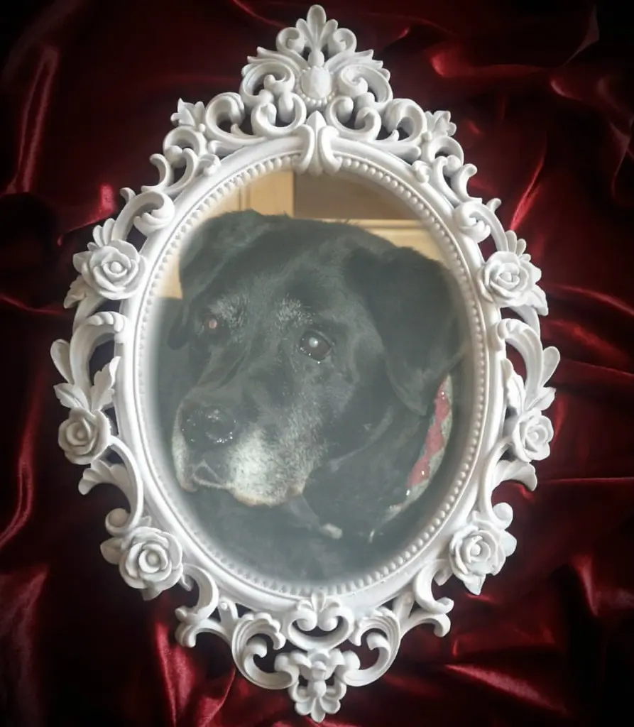 Condolence image of ❤️❤️❤️