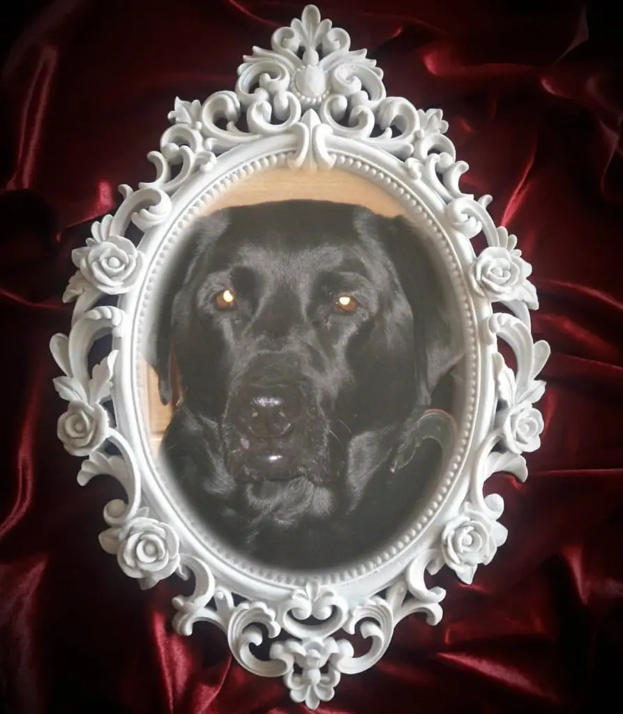 Condolence image of ❤️❤️❤️