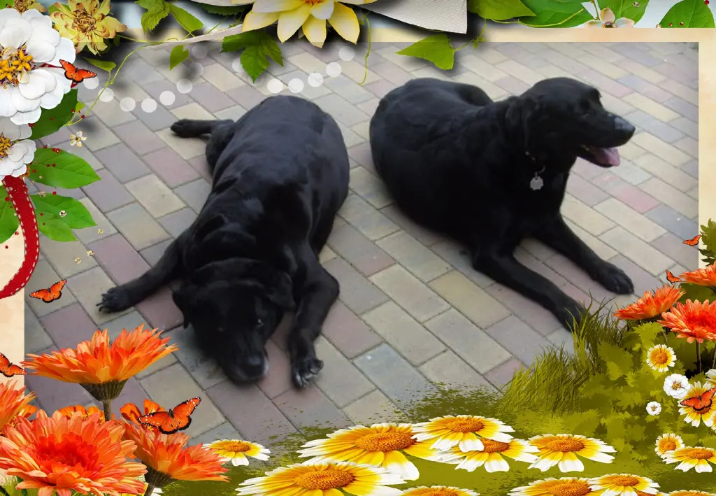 Condolence image of ❤️❤️❤️