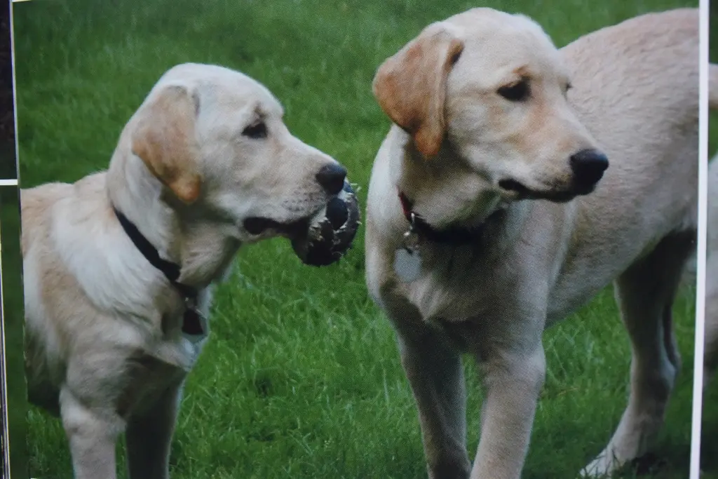 Condolence image of Brigitta