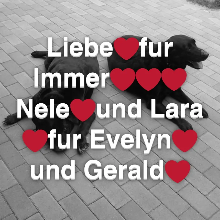 Condolence image of Nele❤️Lara❤️