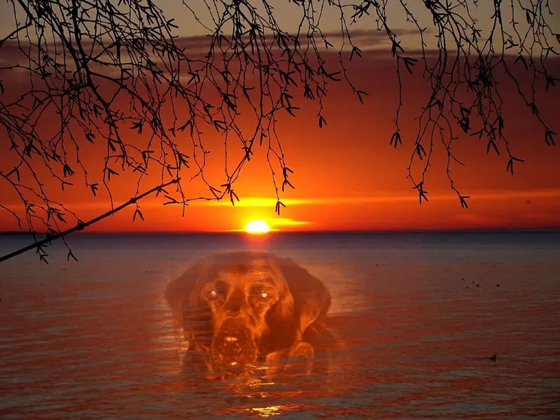 Condolence image of ❤️❤️❤️