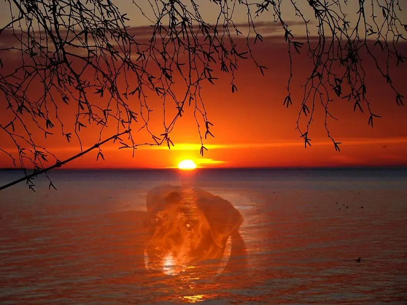 Condolence image of ❤️❤️❤️