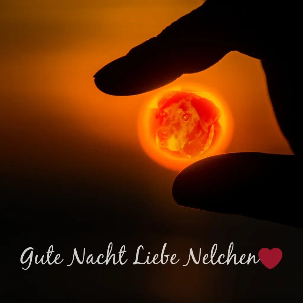 Condolence image of ❤️❤️❤️