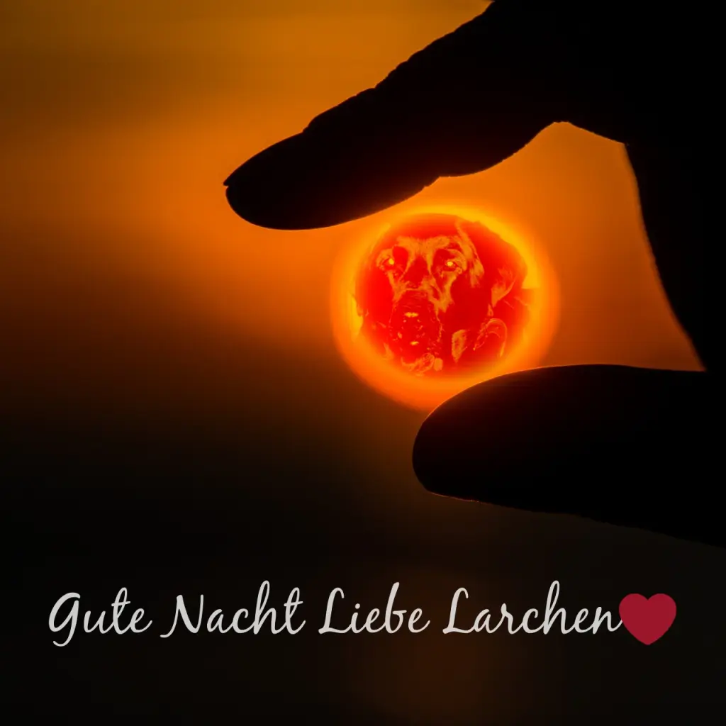 Condolence image of ❤️❤️❤️