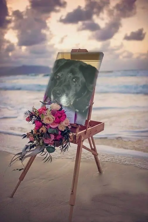 Condolence image of ❤️❤️❤️