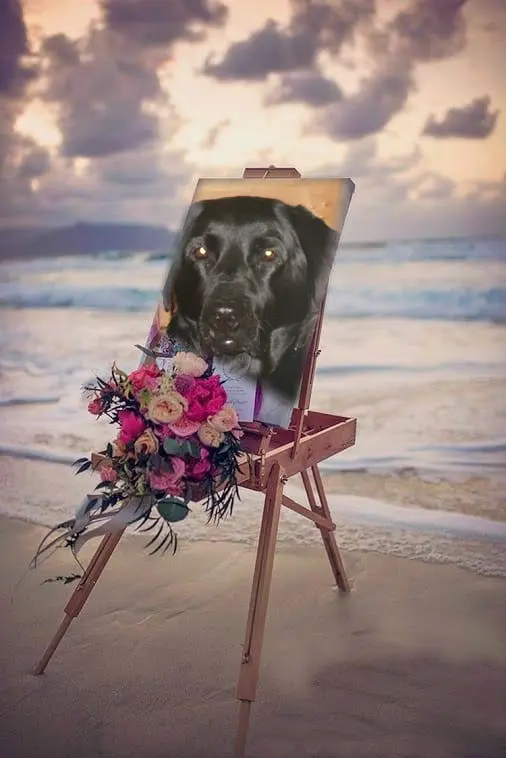 Condolence image of ❤️❤️❤️