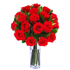 Condolence image of Fur Evelyn❤️