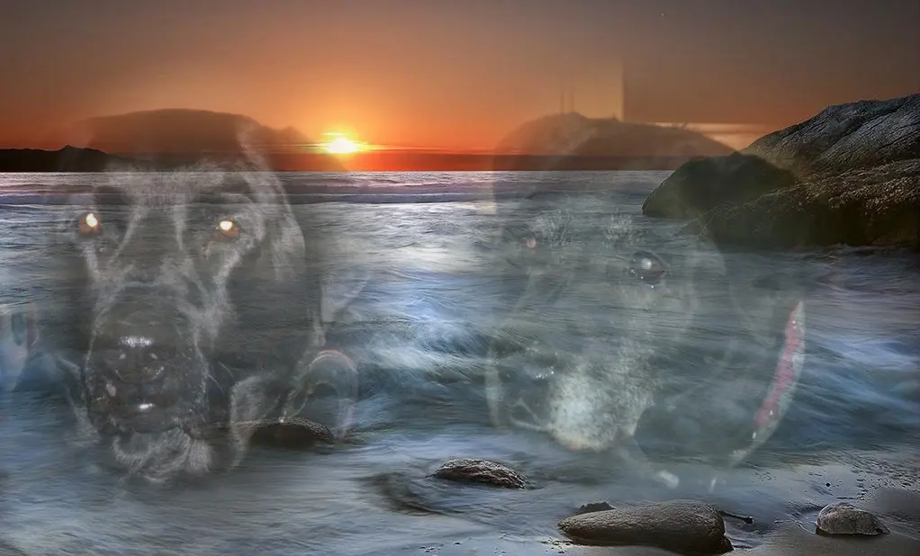 Condolence image of ❤️❤️❤️