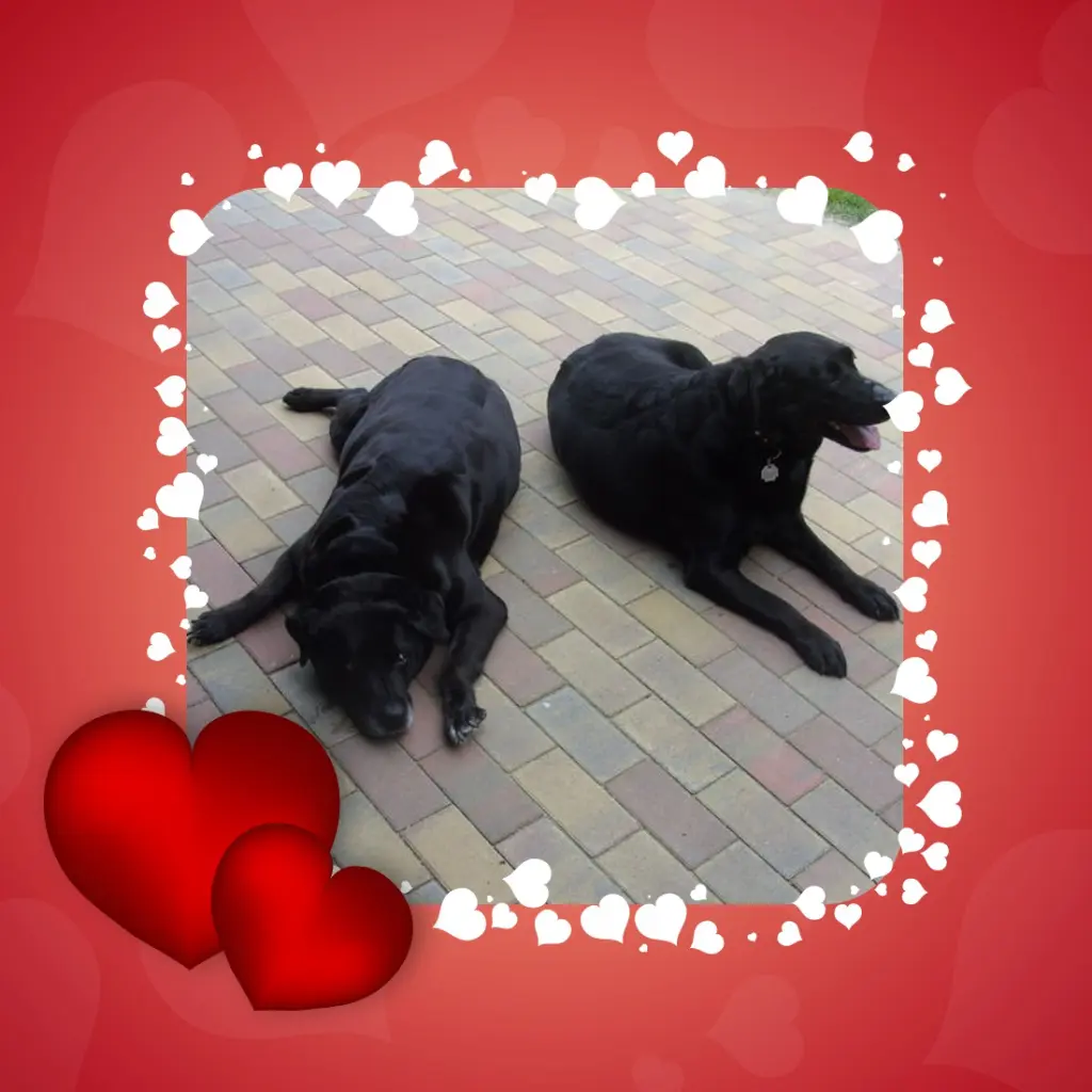 Condolence image of ❤️❤️❤️