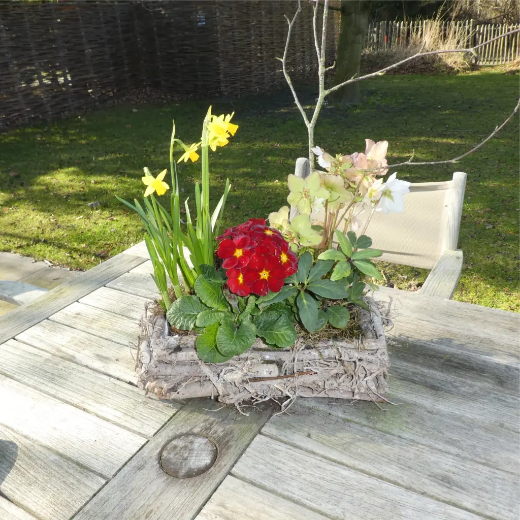 Condolence image of Brigitta