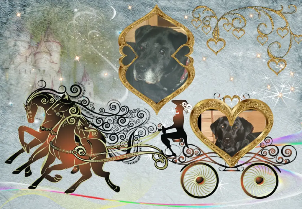 Condolence image of ❤️❤️❤️