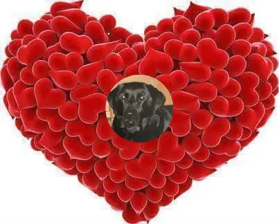 Condolence image of ❤️❤️❤️