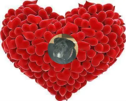 Condolence image of ❤️❤️❤️