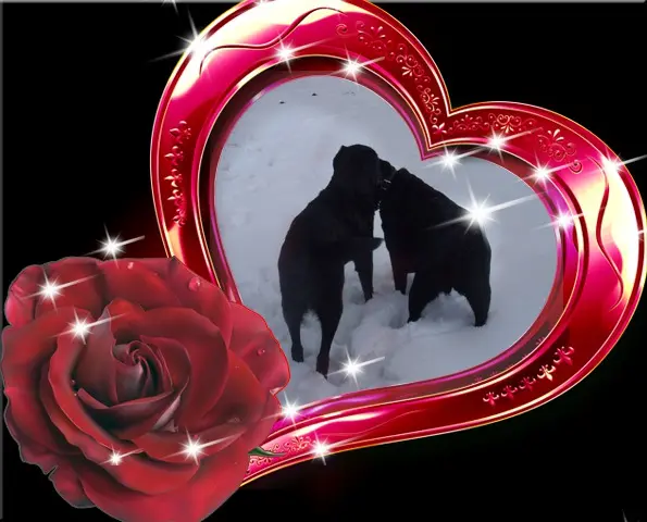 Condolence image of ❤️❤️❤️