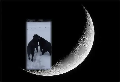 Condolence image of ❤️❤️❤️