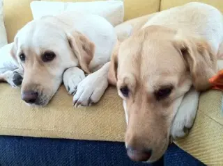 Condolence image of Brigitta